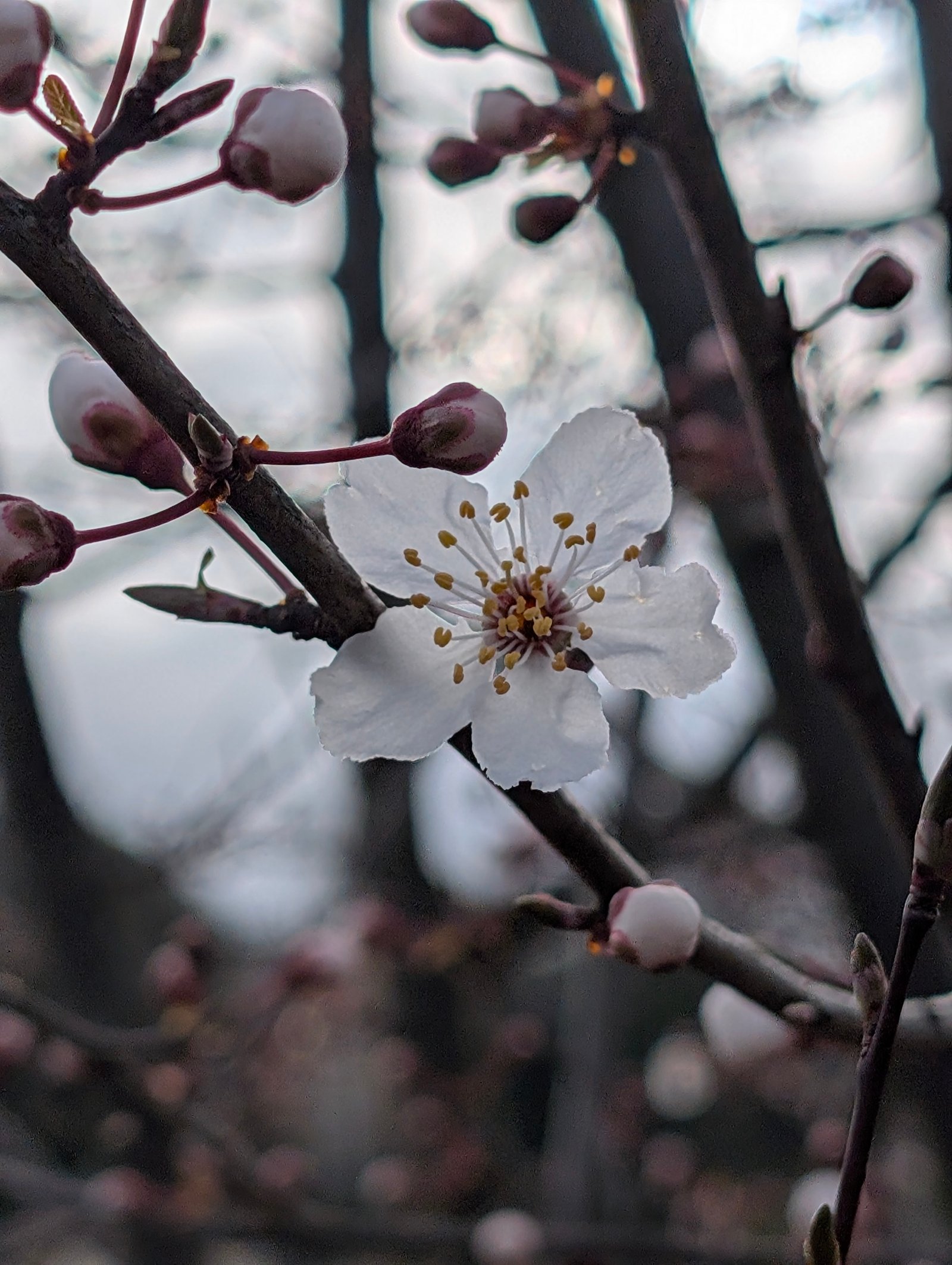 Nature
